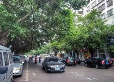 義龍路片區(qū)及萬國(guó)西路積水點(diǎn)改造工程基坑監(jiān)測(cè)